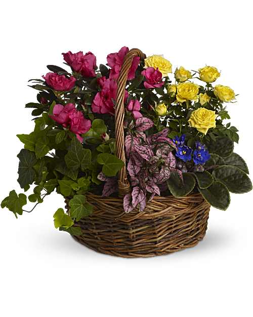 Cesta de jardín en flor
