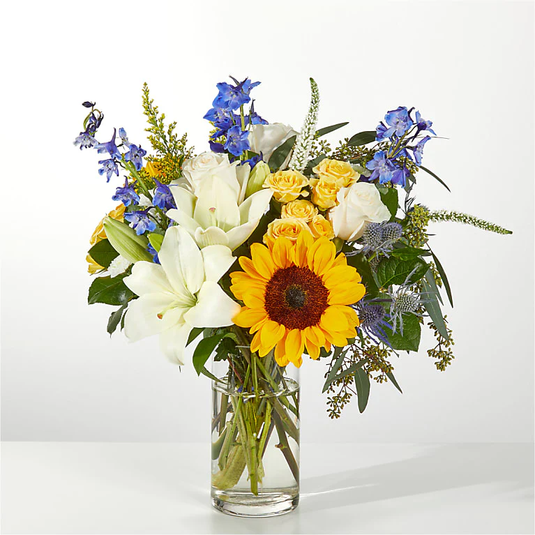 Girasol del Cielo
